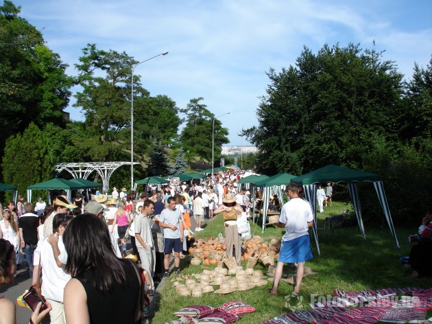   2006