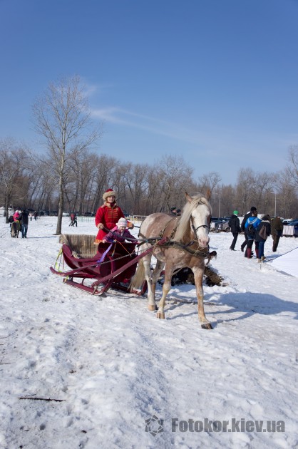 Snow Free Games 2013