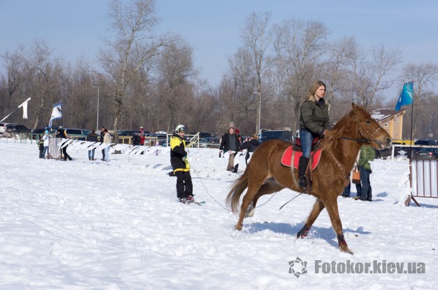 Snow Free Games 2013