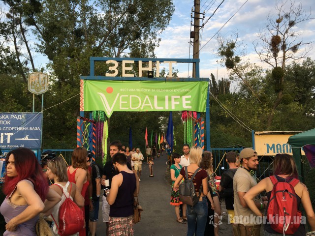  Vedalife